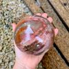 sphère bois fossile