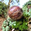 sphère bois fossile